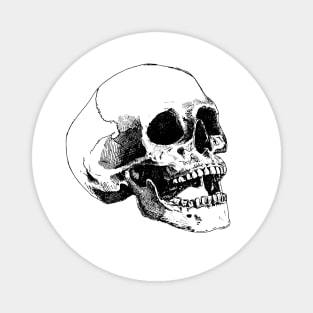 Human skull Magnet